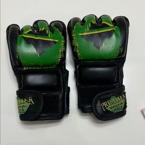Premier Martial Arts Black and Green Punching Gloves